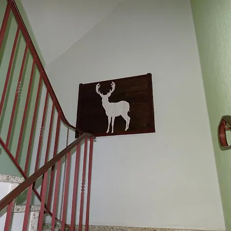 Harzglueck Apartment